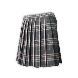 Online Order School Uniform Pleated Skirt Design Checkered Side Invisible Zipper Dark Green School Uniform Skirt Center SU320 Online Order School Uniform Pleated Skirt Design Checkered Side Invisible Zipper Dark Green School Uniform Skirt Center SU320